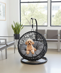 Pet Single Seat Egg Chair Luxury - Black Colour image 3